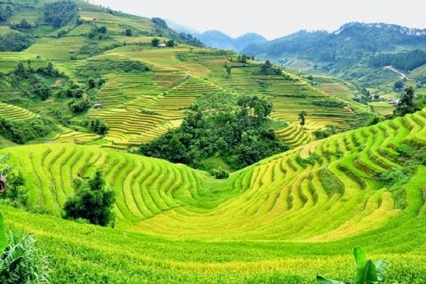 sakuraskytravel.com