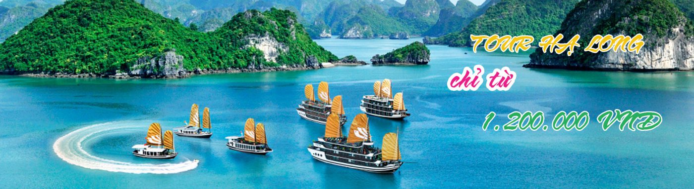sakuraskytravel.com
