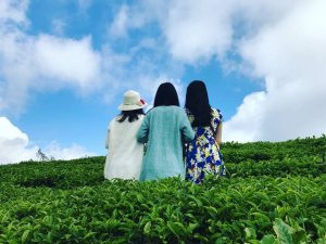 sakuraskytravel.com